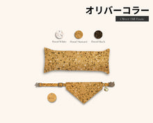 Load image into Gallery viewer, Oliver Hills Cat Bundle Box Personalised Cat Birthday Gift