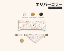 Load image into Gallery viewer, Oliver Hills Cat Bundle Box Personalised Cat Birthday Gift