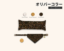 Load image into Gallery viewer, Oliver Hills Cat Bundle Box Personalised Cat Birthday Gift