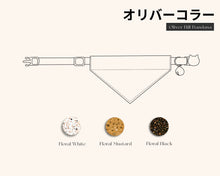 Load image into Gallery viewer, Oliver Hills Cat Collar Basic / Bandana Collar