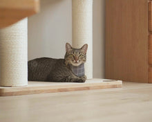 Load image into Gallery viewer, Grey Half Moon Bandana Cat Collar
