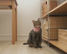 Load image into Gallery viewer, Half Moon Bandana Cat Collar
