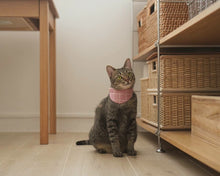 Load image into Gallery viewer, Pink Half Moon Bandana Cat Collar
