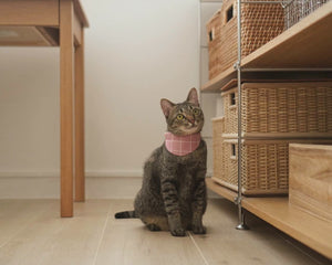 Pink Half Moon Bandana Cat Collar