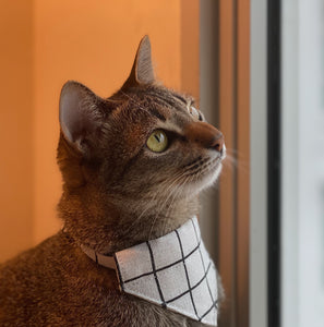 Black Grid Bandana Collar