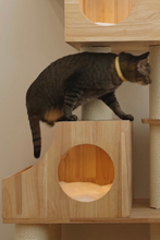 Load image into Gallery viewer, Basic Night Cat Collar
