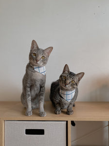 Blue Grid Bandana Collar