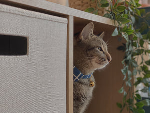 Table Blue Grid Bandana Cat Collar