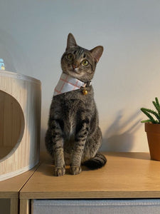 Pink Grid Bandana Collar