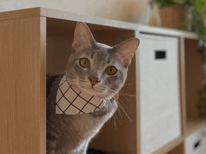 Black Grid Bandana Collar