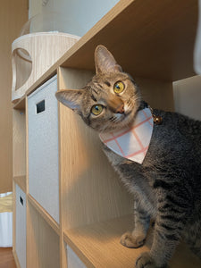 Pink Grid Bandana Collar