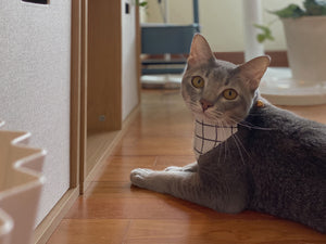 Black Grid Bandana Collar