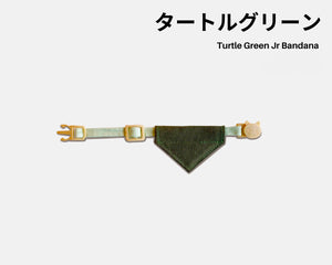 Turtle Green Junior Bandana Collar