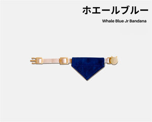 Whale Blue Junior Bandana Collar