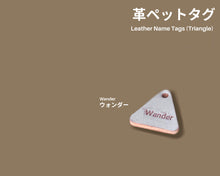 Load image into Gallery viewer, Ghost Leather Cat ID Tag Triangle
