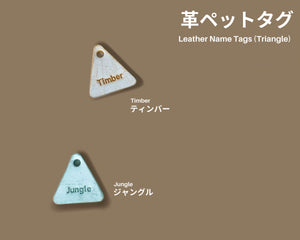 Ghost Leather Cat ID Tag Triangle