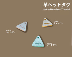 Ghost Leather Cat ID Tag Triangle