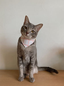 Pink Grid Bandana Collar