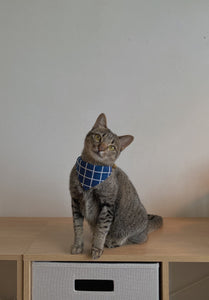 Table Blue Grid Bandana Cat Collar